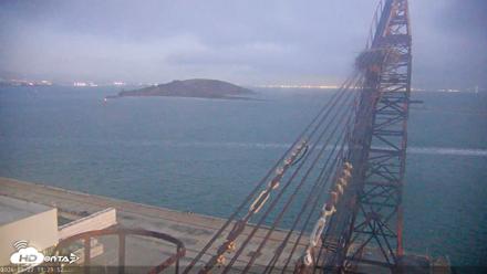 San Francisco Bay Osprey Nest Live Webcam - Sep 22, 2026, 7:30pm PDT