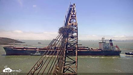 San Francisco Bay Osprey Nest Live Webcam - Jul 26, 2026, 12:47pm PDT