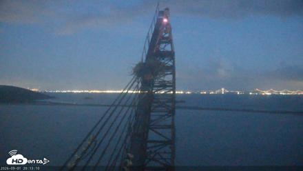 San Francisco Bay Osprey Nest Live Webcam - Sep 1, 2026, 8:14pm PDT