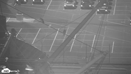 San Francisco Bay Osprey Nest Live Webcam - Aug 24, 2026, 4:11am PDT