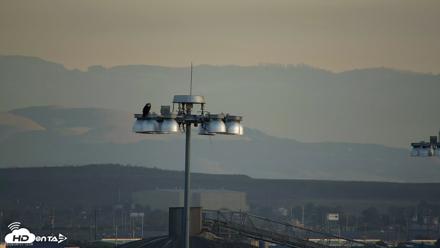San Francisco Bay Osprey Nest Live Webcam - Sep 9, 2026, 7:14am PDT