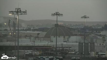San Francisco Bay Osprey Nest Live Webcam - Aug 29, 2026, 6:53am PDT
