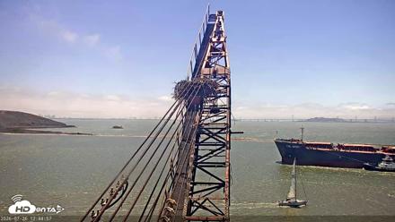 San Francisco Bay Osprey Nest Live Webcam - Jul 26, 2026, 12:46pm PDT