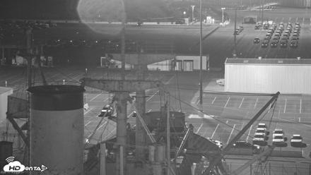 San Francisco Bay Osprey Nest Live Webcam - Oct 14, 2026, 8:34pm PDT