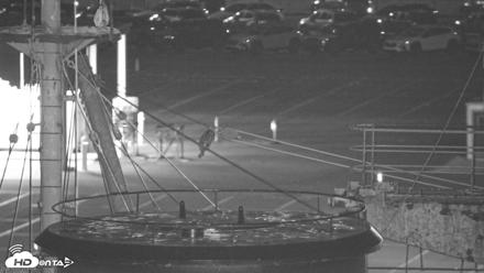 San Francisco Bay Osprey Nest Live Webcam - Oct 3, 2026, 9:47pm PDT