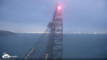 San Francisco Bay Osprey Nest Live Webcam - Jun 30, 2026, 9:13pm PDT