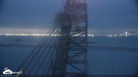 San Francisco Bay Osprey Nest Live Webcam - Jun 15, 2026, 5:13am PDT