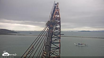 San Francisco Bay Osprey Nest Live Webcam - Sep 3, 2026, 12:03pm PDT