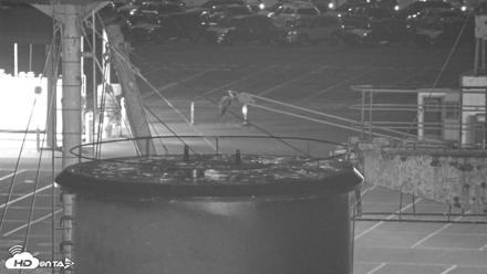 San Francisco Bay Osprey Nest Live Webcam - Sep 25, 2026, 9:05pm PDT