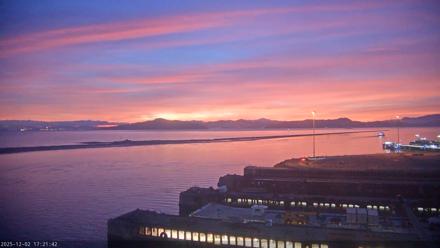 San Francisco Bay Osprey Nest Live Webcam - Dec 2, 2025, 5:22pm PST