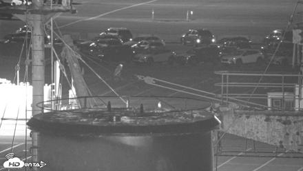 San Francisco Bay Osprey Nest Live Webcam - Oct 4, 2026, 8:38pm PDT