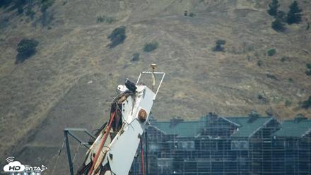 San Francisco Bay Osprey Nest Live Webcam - Jul 2, 2026, 11:14am PDT