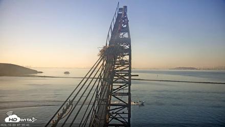 San Francisco Bay Osprey Nest Live Webcam - Oct 3, 2026, 7:40am PDT