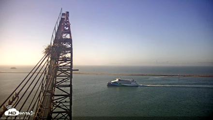 San Francisco Bay Osprey Nest Live Webcam - Sep 30, 2026, 8:42am PDT