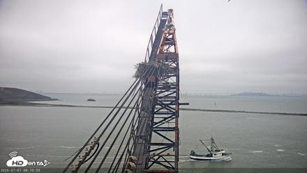 San Francisco Bay Osprey Nest Live Webcam - Jul 7, 2026, 8:11am PDT