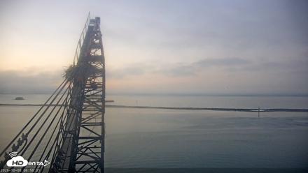 San Francisco Bay Osprey Nest Live Webcam - Oct 8, 2026, 6:58am PDT