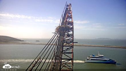 San Francisco Bay Osprey Nest Live Webcam - Aug 1, 2026, 9:03am PDT