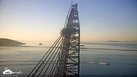 San Francisco Bay Osprey Nest Live Webcam - Oct 3, 2026, 7:40am PDT