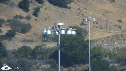 San Francisco Bay Osprey Nest Live Webcam - Jul 26, 2026, 10:16am PDT