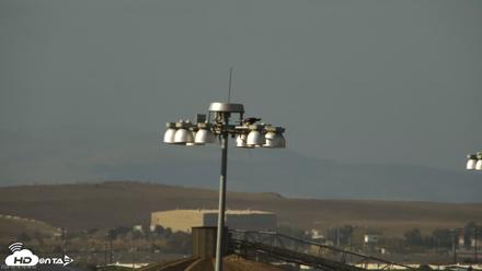 San Francisco Bay Osprey Nest Live Webcam - Sep 16, 2026, 4:37pm PDT