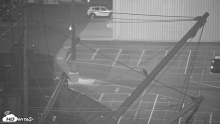 San Francisco Bay Osprey Nest Live Webcam - Aug 16, 2026, 3:33am PDT