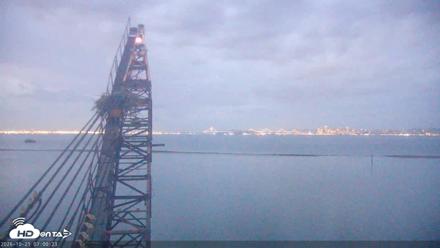 San Francisco Bay Osprey Nest Live Webcam - Oct 21, 2026, 7:01am PDT