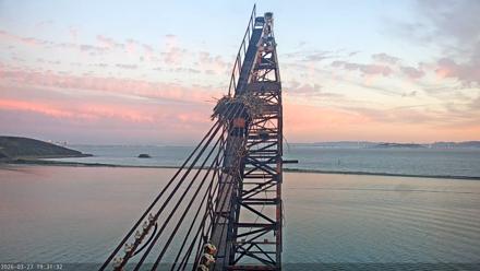 San Francisco Bay Osprey Nest Live Webcam - Mar 27, 2026, 7:32pm PDT