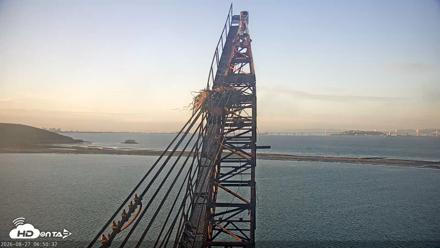 San Francisco Bay Osprey Nest Live Webcam - Aug 27, 2026, 6:51am PDT