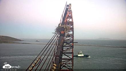 San Francisco Bay Osprey Nest Live Webcam - Aug 1, 2026, 8:33pm PDT