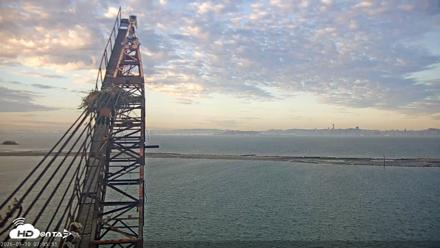 San Francisco Bay Osprey Nest Live Webcam - Sep 10, 2026, 7:06am PDT