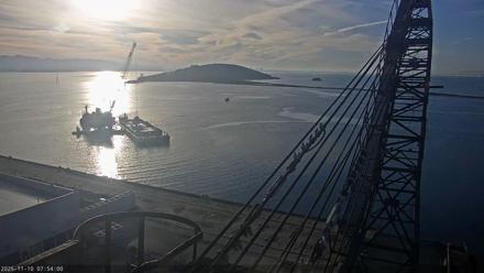 San Francisco Bay Osprey Nest Live Webcam - Nov 10, 2025, 7:54am PST