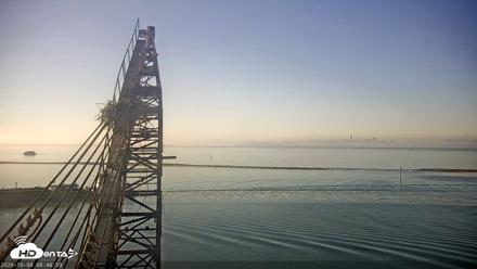 San Francisco Bay Osprey Nest Live Webcam - Oct 8, 2026, 8:47am PDT