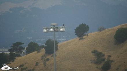 San Francisco Bay Osprey Nest Live Webcam - Jul 20, 2026, 9:59am PDT