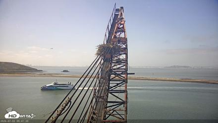 San Francisco Bay Osprey Nest Live Webcam - Jul 2, 2026, 9:42am PDT