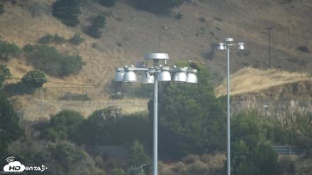San Francisco Bay Osprey Nest Live Webcam - Jul 1, 2026, 8:40am PDT