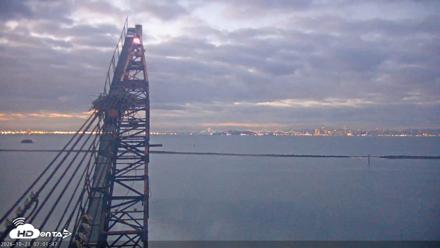 San Francisco Bay Osprey Nest Live Webcam - Oct 23, 2026, 7:02am PDT