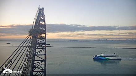 San Francisco Bay Osprey Nest Live Webcam - Oct 23, 2026, 7:43am PDT