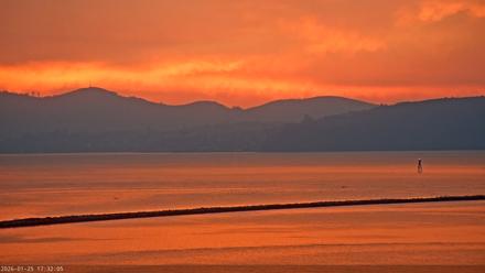 San Francisco Bay Osprey Nest Live Webcam - Jan 25, 2026, 5:32pm PST