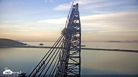 San Francisco Bay Osprey Nest Live Webcam - Sep 9, 2026, 7:01am PDT