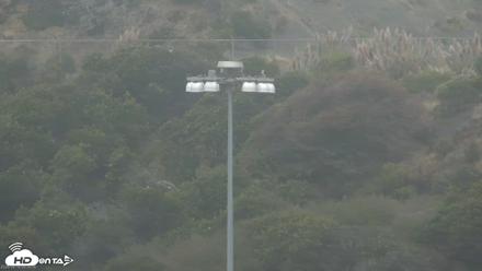 San Francisco Bay Osprey Nest Live Webcam - Aug 16, 2026, 9:33am PDT