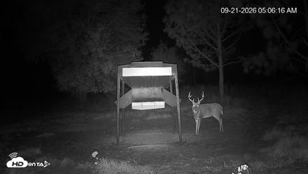 Leesburg Georgia Live Deer Feeder Webcam - Sep 21, 2026, 5:06am EDT