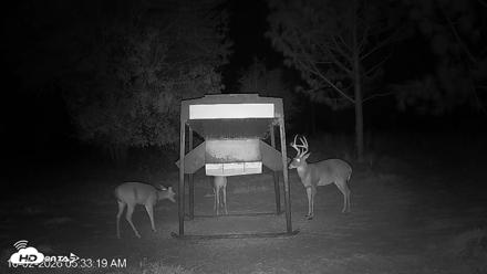 Leesburg Georgia Live Deer Feeder Webcam - Oct 2, 2026, 5:33am EDT