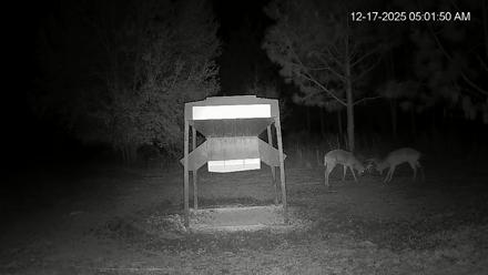 Leesburg Georgia Live Deer Feeder Webcam - Dec 17, 2025, 5:02am EST