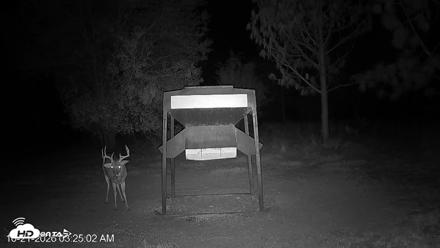 Leesburg Georgia Live Deer Feeder Webcam - Oct 21, 2026, 3:25am EDT