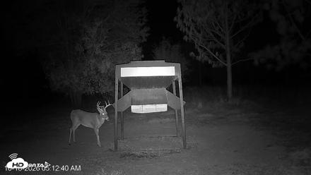 Leesburg Georgia Live Deer Feeder Webcam - Oct 18, 2026, 5:13am EDT