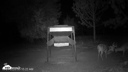 Leesburg Georgia Live Deer Feeder Webcam - Oct 21, 2026, 5:15am EDT