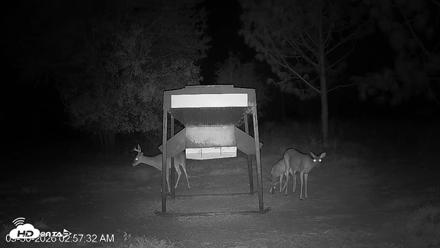 Leesburg Georgia Live Deer Feeder Webcam - Sep 30, 2026, 2:57am EDT