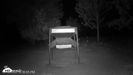 Leesburg Georgia Live Deer Feeder Webcam - Oct 19, 2026, 10:30pm EDT
