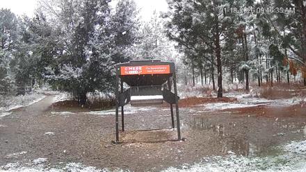 Leesburg Georgia Live Deer Feeder Webcam - Jan 18, 2026, 9:16am EST