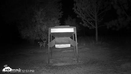Leesburg Georgia Live Deer Feeder Webcam - Oct 12, 2026, 8:32pm EDT